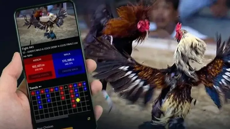 Trải Nghiệm Sân Chơi Đá Gà Vin68 Kịch Tính Đẳng Cấp Nhất Châu Á 1 Trải Nghiệm Sân Chơi Đá Gà Vin68 Kịch Tính Đẳng Cấp Nhất Châu Á